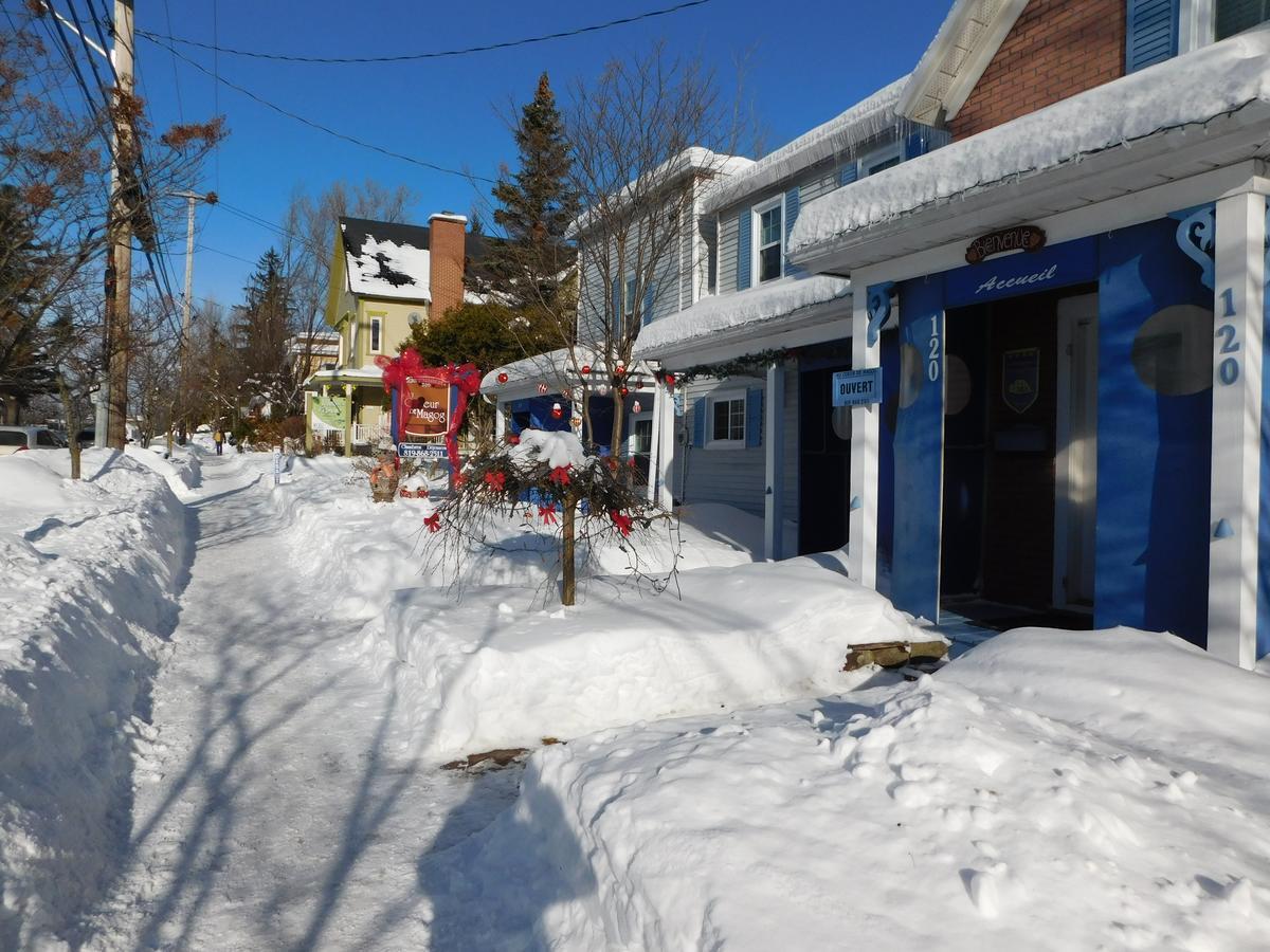 Au Coeur De Magog Bed & Breakfast Dış mekan fotoğraf